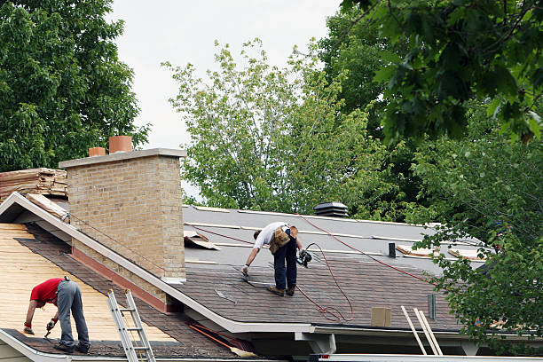 Best Roof Gutter Cleaning  in Custer, SD